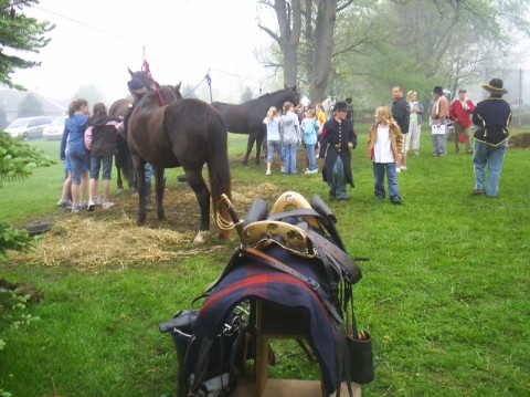 Living history days - the mounts await.
